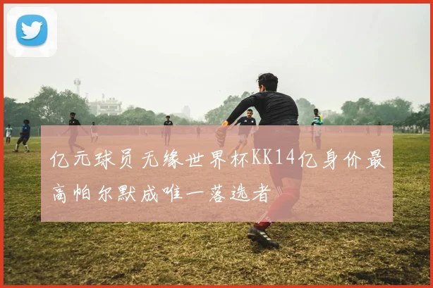 亿元球员无缘世界杯KK14亿身价最高帕尔默成唯一落选者